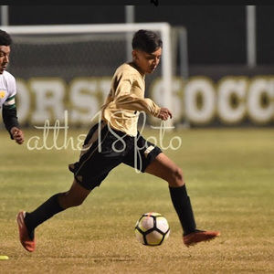 Meet your Posher, Addi